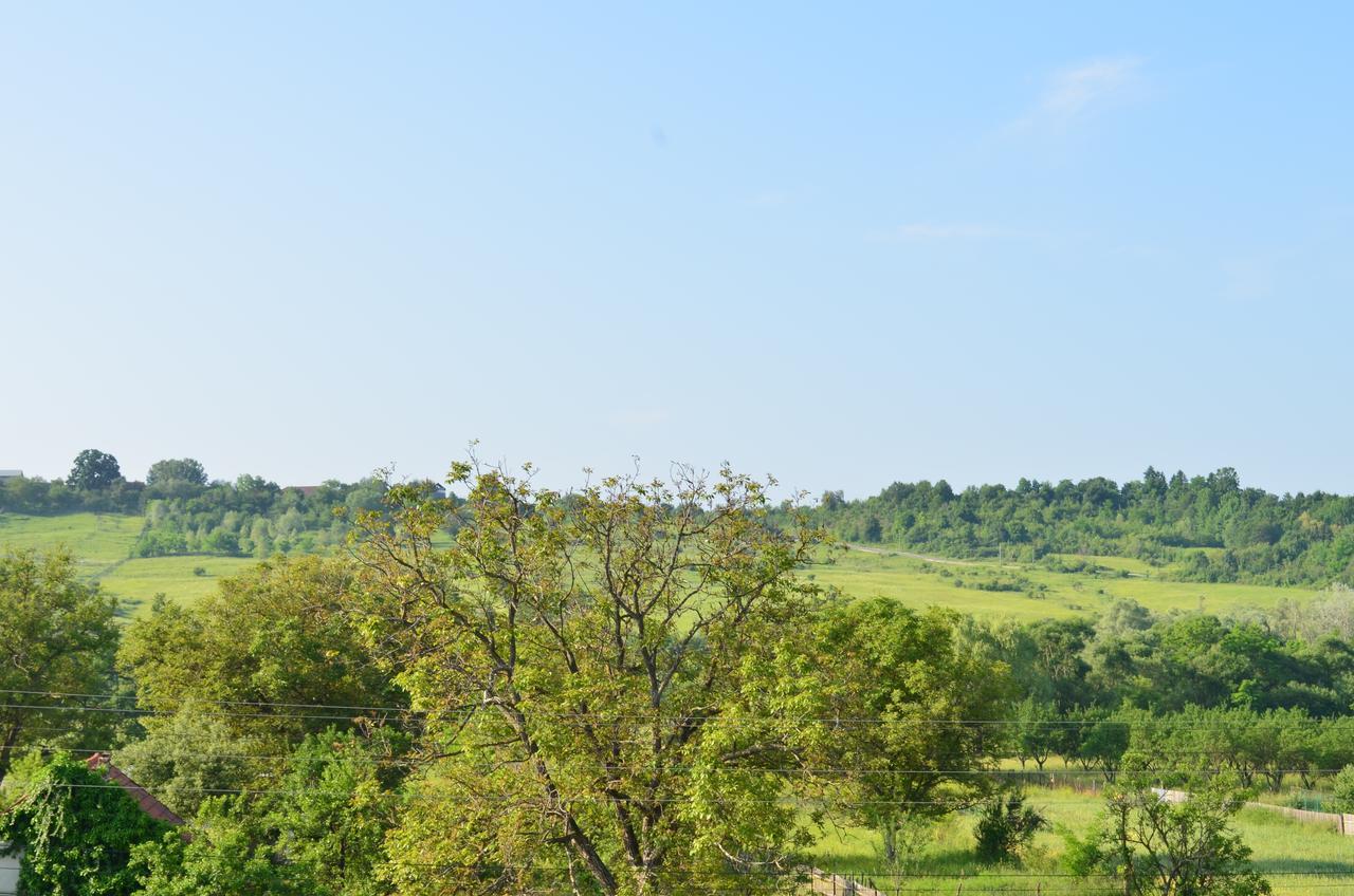 Pensiunea Koruna Poenari Exteriér fotografie