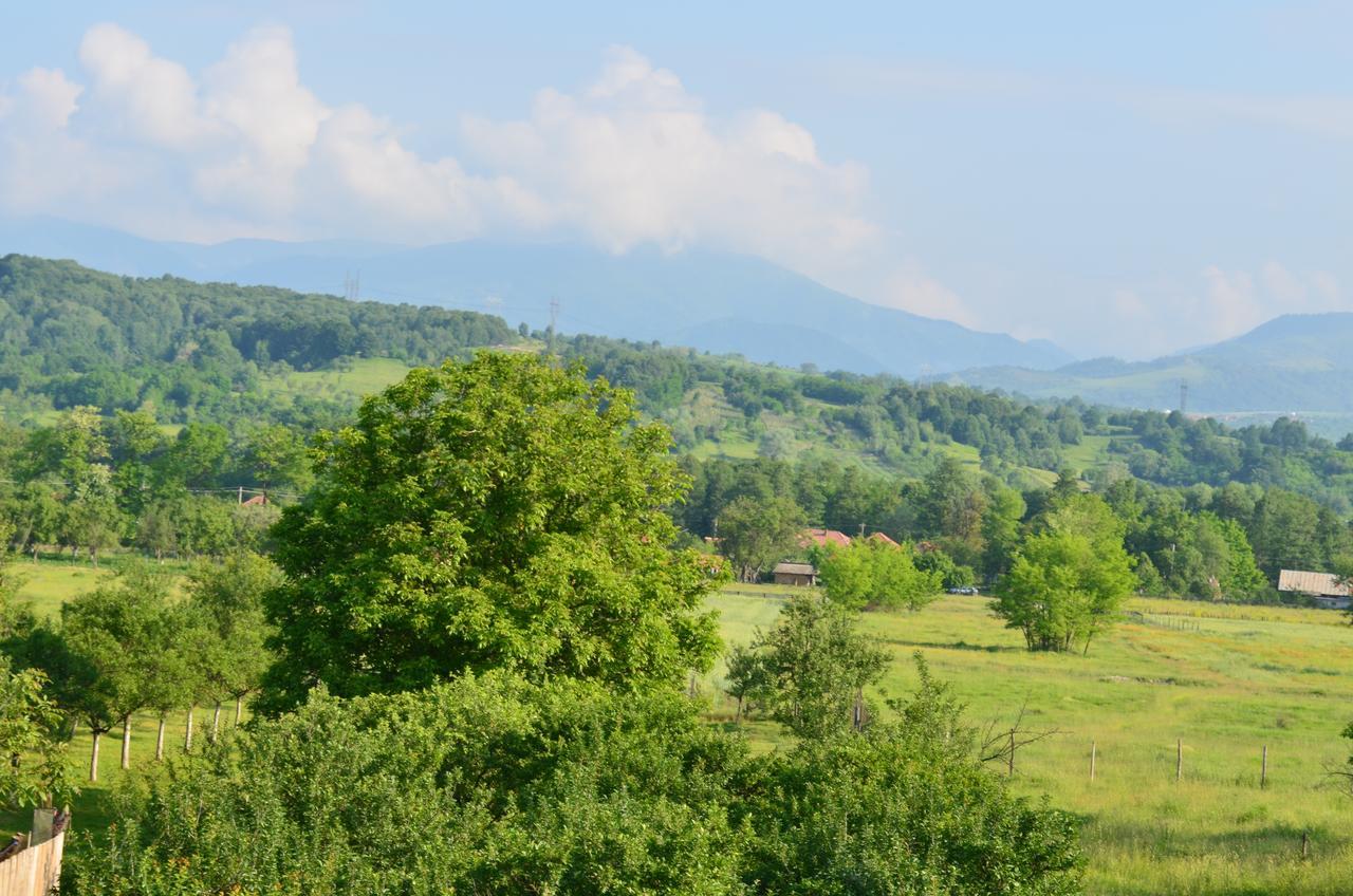 Pensiunea Koruna Poenari Exteriér fotografie