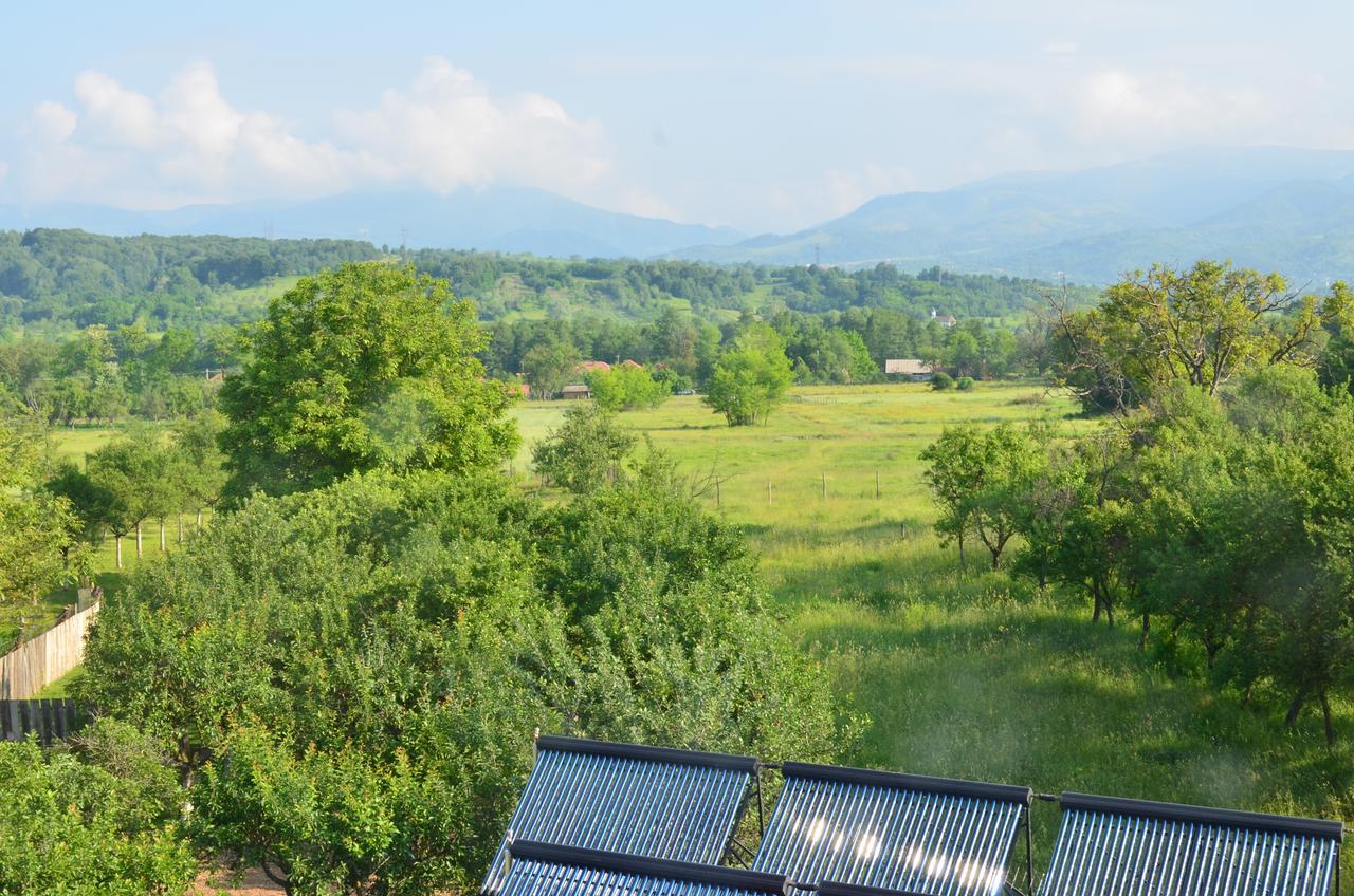 Pensiunea Koruna Poenari Exteriér fotografie