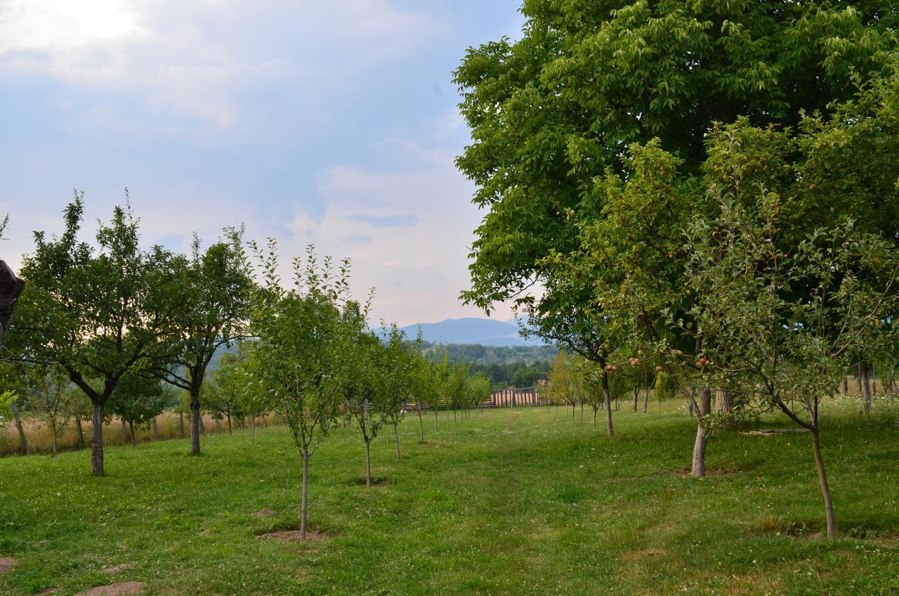 Pensiunea Koruna Poenari Exteriér fotografie