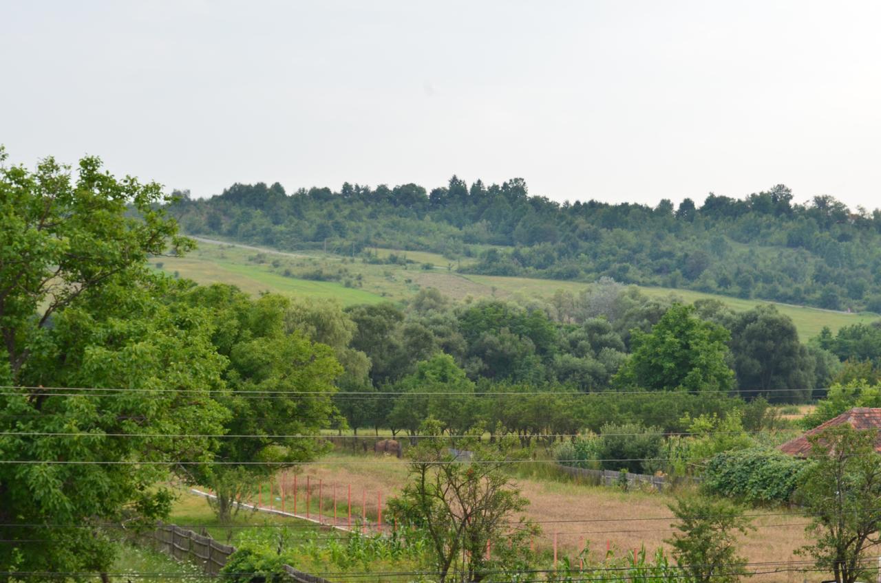 Pensiunea Koruna Poenari Exteriér fotografie